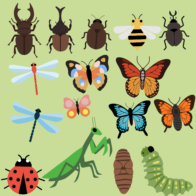 제목_없는_아트워크 2.png