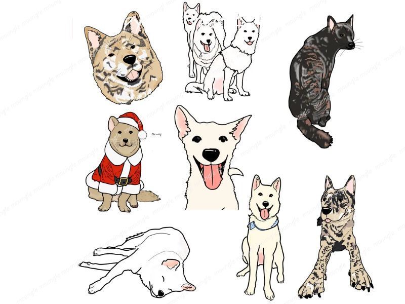 진돗개 크티 썸네일.jpg